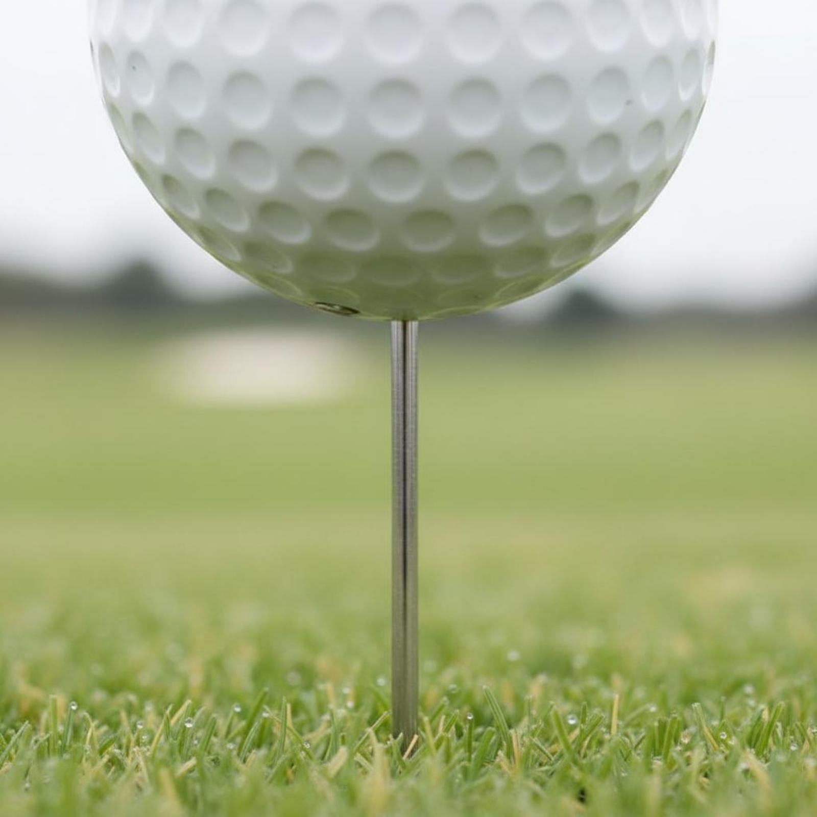 Course Teeing Starter Golfball – Golf Tees Bewertung und Preis